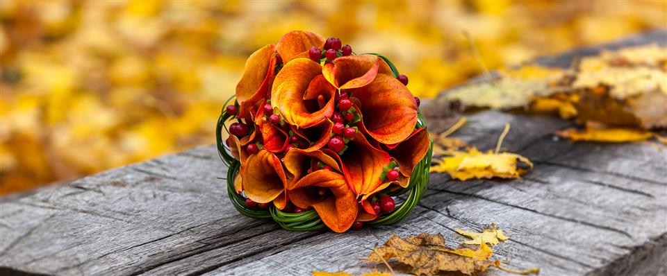 Shelly's Florist Ltd